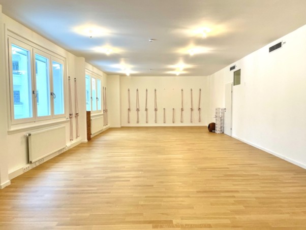 iyengar yoga con karin vienna
