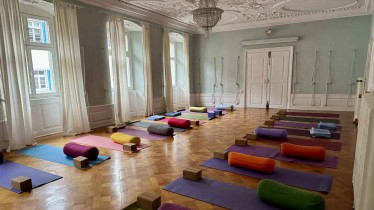 iyengar-constance-workshop