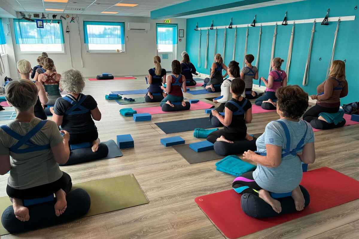 may norway iyengar workshop