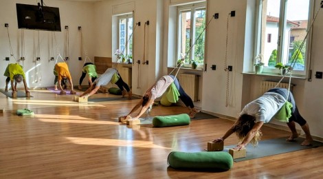 adho-mukha-svanasana-with-cords